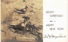 Christmas RPPC Terns Chatham Shaub 1940  picture