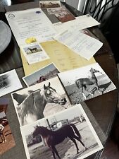 Vintage Arabian Horse Photos Plus Rafa Farms Arabian Prince Hallany Etc picture