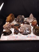 Huge Lot Of 20+ Lbs Rough Oregon Jasper Mixed.Cabbing, Lapidary,Display.Lot # 2. picture