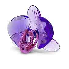 SWAROVSKI CRYSTAL IDYLLIA SCS ORCHID PETAL 5669354.NEW IN BOX picture