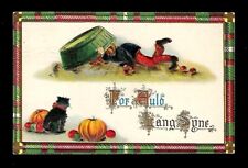 c1913 Gottschalk Dreyfuss & Davis Halloween Postcard Pumpkin Head Man Cat,JOL picture