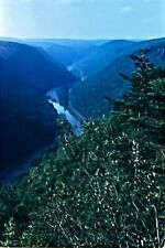 Original Kodachrome 35mm slide 1961 Letchworth State Park, NY (B1/T3) picture