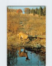 Postcard Autumn Reflections picture