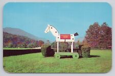 The Famous Tryon Horse Postcard 1628 picture