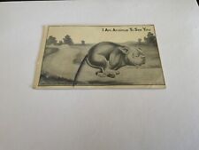 Schmidt Bros. ~ Novelty Spring Tailed Dog - I Am Anxious to See You   Postcard picture