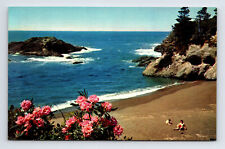 Chrome Postcard Grant's Pass OR Oregon Scenic View Pacific Coast Beach picture