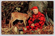 c1960s 70s Fawn & Hunter~Deer Season~Grand Lake Stream Maine VTG Postcard picture