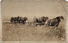 RPPC Bart Carter working field with horse team, vintage postcard picture