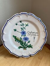 Dolfi Italy Botanical Collector's Plate-Chicory Vintage picture