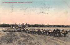 Stockton California 37 Horse Power Combined Harvester, Vintage Postcard U18167 picture