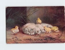 Postcard Who Are You? With Dogs Chicks Art Print picture