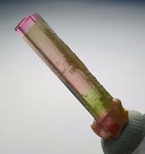 An Incredible Tri Colour Terminated Tourmaline Crystal Specimen From Paprok Mine picture