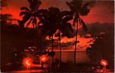 Postcard Red Glow of Torches Compliment the Fiery Red Sunset Hawaii HI      1089 picture