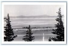 Newton Centre Massachusetts MA Postcard RPPC Photo Sea View 1956 Posted Vintage picture