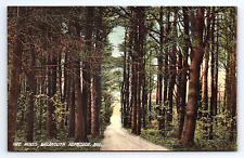 Postcard The Pines Falmouth Foreside Cumberland County Maine ME picture