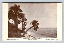 Tarpon Springs FL-Florida, Gulf Of Mexico Gulf Sponge Co Vintage Postcard picture