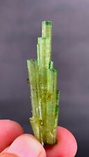 Mesmerizing TOURMALINE Crystal Tower Cluster With Rare MICROLITE picture