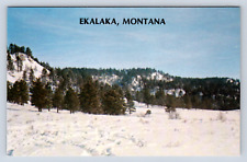 Vintage Postcard Ekalaka Montana Custer National Forest picture