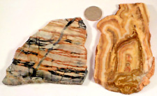 2 Lapidary Slabs 1st is Picasso, 2nd Mexican Onyx  1st Pic Wet #3362 picture