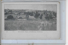 Rare - Fallbrook, California Late 1890s - early 1900s - E. Ivy St Looking SWest picture