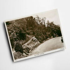 A6 PRINT - Vintage Somerset - The Woods, Kewstoke picture