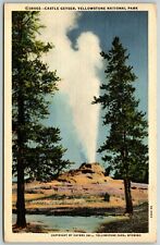 Castle Geyser, Yellowstone National Park, Wyoming - Postcard picture