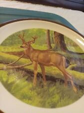 National Wildlife Federation American Wilderness Plate Deer picture
