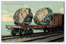 Exaggerated Cauliflower LS&MS Train The Kind We Raise In Our State Postcard picture