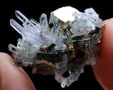 6.2g Natural Rare Complete Crystal Cluster & Pyrite Symbiotic Mineral Specimen picture