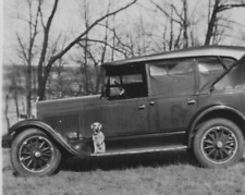 3P Photograph Cute Adorable Cute Little Dog On Side Of Old Car 1930's  picture