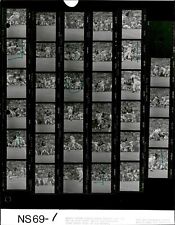 LD342 1969 Original Contact Sheet Photo WISCONSIN BADGERS vs MICHIGAN WOLVERINES picture