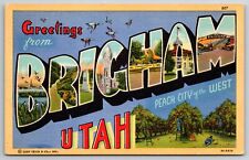 Brigham Utah~Ducks~Main Street~Peach Orchard~Large Letter Linen Postcard picture