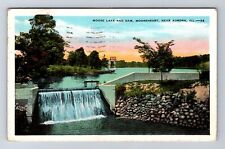 Aurora IL-Illinois, Moose Lake And Dam, Moosehart, Vintage c1932 Postcard picture