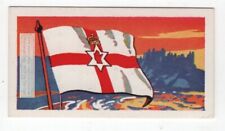 Northern Ireland St. George's Cross Flag  Vintage Trade Ad Card picture