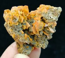 34mm Beautiful Wulfenite crystals on matrix 4131 picture