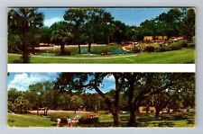 Longwood FL-Florida, Sanlando Springs, Recreation, Vintage Postcard picture