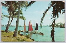 Postcard Sailboats at the Bahia Mar Yacht Basin Fort Lauderdale, Florida Vintage picture