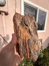 Petrified wood mineral specimen Nacimiento Cuba New Mexico Pagosa picture
