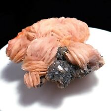 Cerussite Crystals with Bladed Barite on Galena - Morocco MXL1574 picture