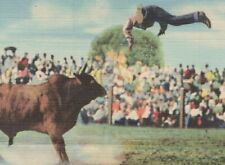 c1940s Pancho Villa vs Wild Brahma Bull E Ranch Rodeo Doubleday linen D751 picture