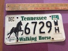 2007 Tennessee Walking Horse License Plate # 6729 picture