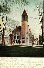 Albany New York City Hall posted 1906 Vintage Postcard  picture