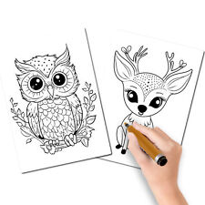 Magnet Me Up Color Your Own Forest Baby Animal Pack, Baby Deer and Baby Owl, 5x7 picture