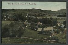 Ashland Greene Co. NY: c.1908 Postcard BIRDS EYE VIEW OF TOWN picture
