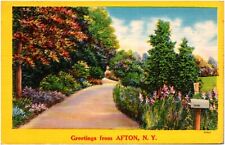 Greetings from Afton New York NY Beautiful Flowers 1940s Linen Postcard NYCE picture