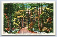 Postcard Ramseys Draft Area, Staunton Virginia George Washington National Forest picture