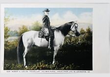Gen. Robert E. Lee Traveller War Horse Life In Lexington, Virgina Nice Postcard picture