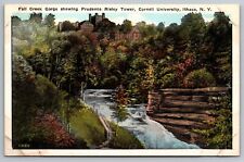 Fall Creek Gorge. Prudence Riley Tower. Cornell University. Ithaca, NY Postcard picture
