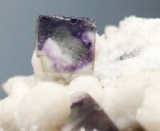 RARE Amazing Purple Cube Fluorite on transparent bone Quartz cluster Specimen picture