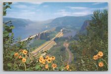 Columbia River Gorge, Oregon Postcard 3603 picture
